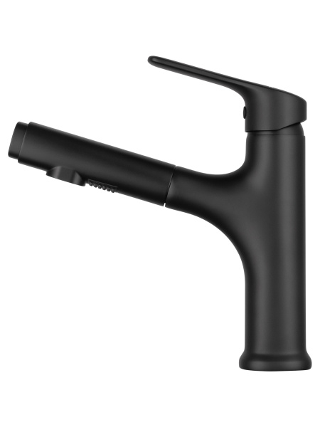 Смеситель для раковины с гигиеническим душем Wonzon & Woghand WW-AE4151-MB черный матовый