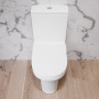Унитаз-компакт безободковый с сиденьем микролифт Damixa Skyline DX35C8600SC Унитаз-компакт безободковый с сиденьем микролифт Damixa Skyline DX35C8600SC