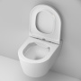 Унитаз подвесной AM.PM Func C8F1700SC безободковый с микролифтом