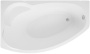 Акриловая ванна Aquanet Sofia 170x90 00204039 левая