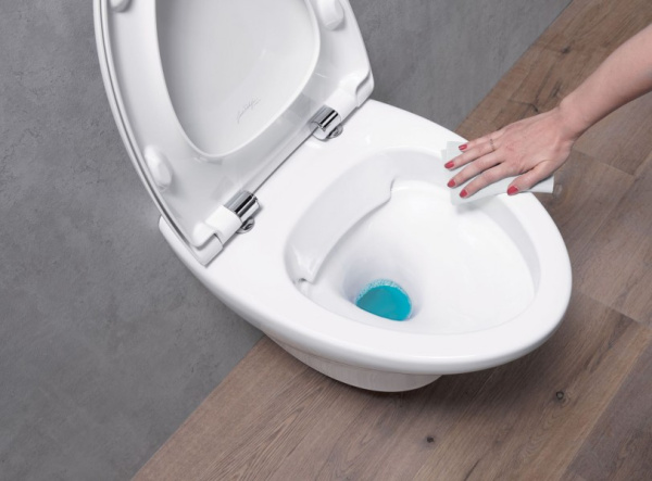 Унитаз подвесной Jacob Delafon Nouvelle Vague EDJ102-00 безободковый