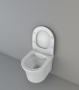 Подвесной безободковый унитаз Cerutti SPA Adige Aria CT7837 с быстросъемным сиденьем микролифт Подвесной безободковый унитаз Cerutti SPA Adige Aria CT7837 с быстросъемным сиденьем микролифт