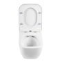 Унитаз подвесной безободковый с сиденьем  BelBagno ALPINA BB10100CHR/SC Унитаз подвесной безободковый с сиденьем  BelBagno ALPINA BB10100CHR/SC
