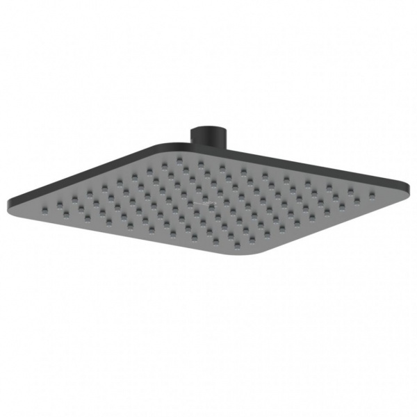 Верхний душ 200x200 мм Ideal Standard B0024XG Верхний душ 200x200 мм Ideal Standard B0024XG