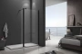 Душевое ограждение GOOD DOOR WALK IN SP2-100-C-B 100x100x195 Душевое ограждение GOOD DOOR WALK IN SP2-100-C-B 100x100x195
