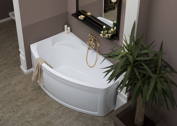 Акриловая ванна Aquanet Sofia 170x90 00204039 левая