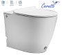 Унитаз приставной Ceruttispa Barbaria CT7264 с импульсным смывом с микролифтом