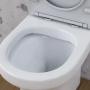 Унитаз-компакт безободковый с сиденьем микролифт Damixa Skyline DX35C8600SC Унитаз-компакт безободковый с сиденьем микролифт Damixa Skyline DX35C8600SC