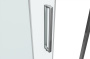 Душевая дверь в нишу 120x200 Bravat Stream BD120.4103S Душевая дверь в нишу 120x200 Bravat Stream BD120.4103S