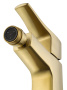 Смеситель для биде Wonzon & Woghand Flex WW-88016072-BG золото брашированный
