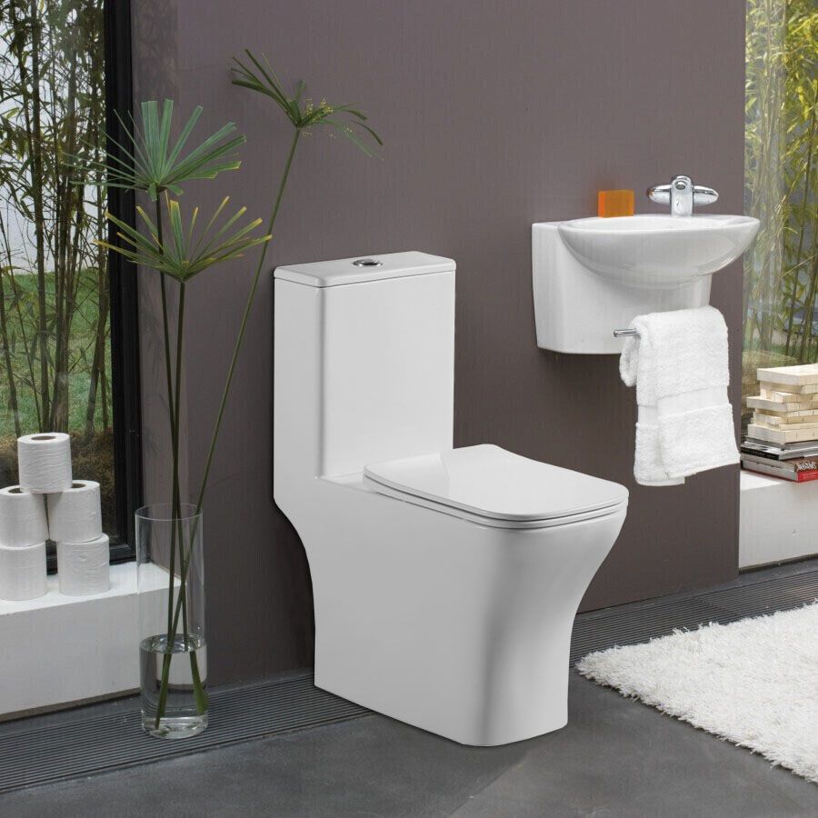 Унитазы-моноблоки